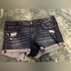True Craft Jean Shorts (from Belk) *never worn*